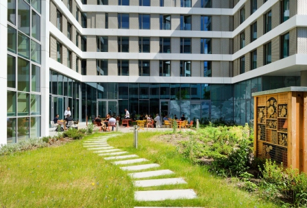 Terrasse végétalisée de l'immeuble du Lemnys